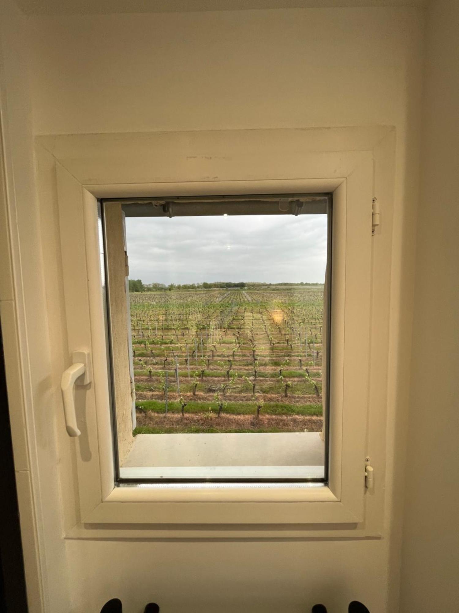 Holiday home Du Ferrand Au Coeur Des Vignes