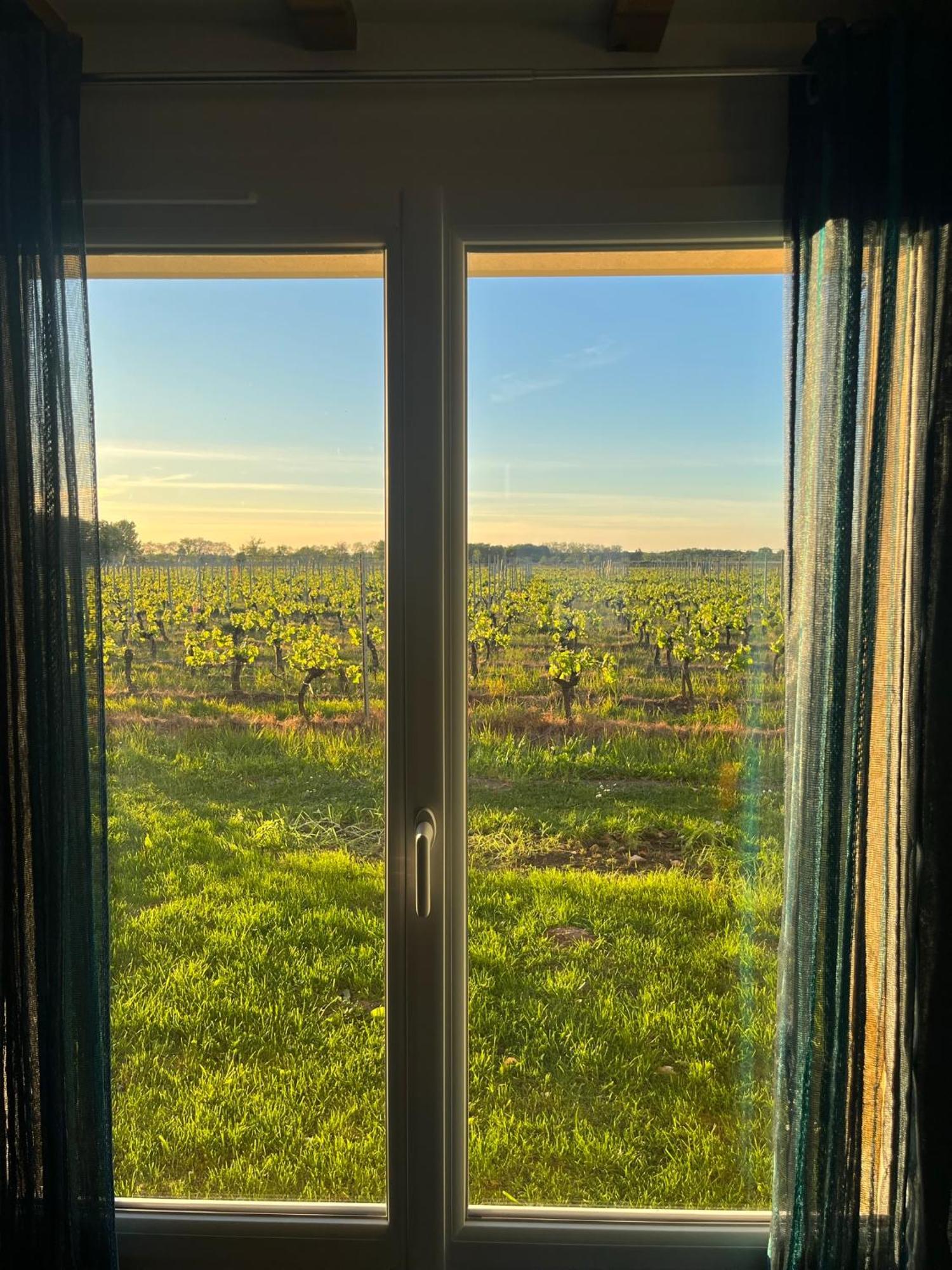 Du Ferrand Au Coeur Des Vignes Hébergement de vacances Montagne (Gironde)